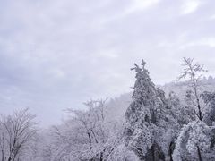 -四明山国家森林公园