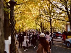 -八大关景区