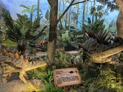 -陕西自然博物馆