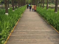 -圩墩遗址公园