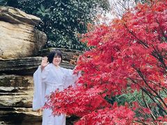 -七彩云南古滇温泉山庄