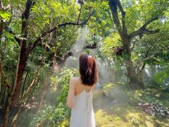 -Chom Cafe and Restaurant