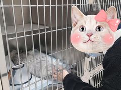 -艾贝尔宠物医院 ·中兽医·宠保定点(北门桥店)