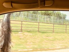 -南京金牛湖风景区