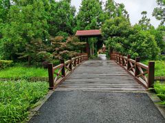 -东平国家森林公园
