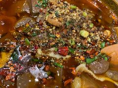 毛肚-比尔森韩式烤肉自助(绿园店)