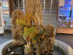 -都江堰石锅鱼