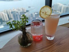 荔枝养乐多-柴犬小屋·柴餐厅·狗咖食堂(金鼎广场店)