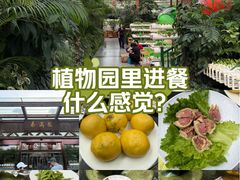 -春满园生态餐厅(南宫路店)