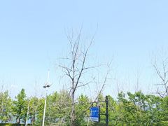 -宝荣鱼馆·临湖之宴(千岛湖店)