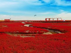 -红海滩国家风景廊道
