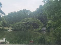 -习家池