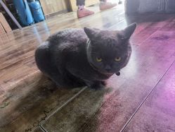 -青木造型HAIR·あおき髪を刈る潮人店