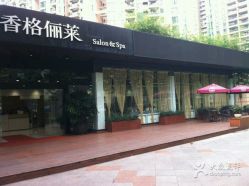 点击看大图 android_upload_pic-CARR SALON