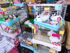 -宠爱我(南山店)