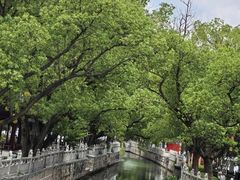 -安亭老街