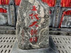 -大槐树寻根祭祖园