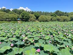 -哈尔滨大剧院
