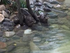-昆明动物园