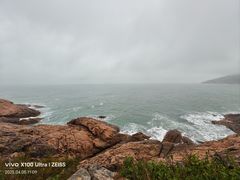 -广东惠东海龟国家级自然保护区