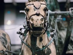 -秦始皇帝陵博物院(兵马俑)