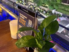 -bluefrog蓝蛙(皇庭广场店)