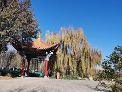 -洛龙公园