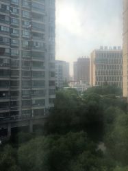 -上海交通大学医学院附属上海儿童医学中心(陆家嘴总院区)