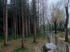 -郑州植物园