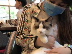 -咖法森林·咖啡  酒吧(天河店)