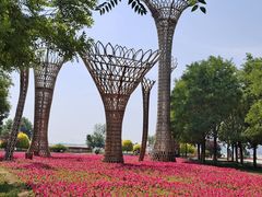 -武清南湖绿博园