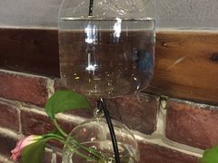 -臻味私厨(国际社区店)