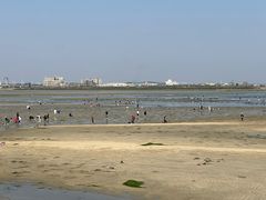 -北海金海湾红树林生态旅游区