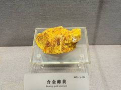 -湖南省地质博物馆