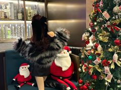 -普朗姆生蚝牛排馆 The Plump Oyster(成都摩方购物中心店)