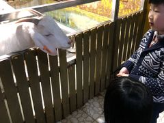 -上海大自然野生昆虫馆(东方明珠·爬宠昆虫探索中心)