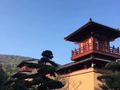 -习家池