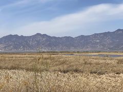 -野鸭湖国家湿地公园