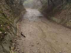 -函谷关历史文化旅游区