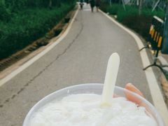 -光明小镇欢乐田园