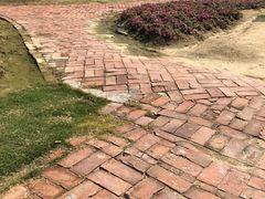 -广东花都香草世界旅游度假区