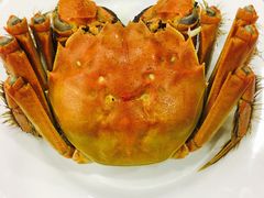 -王宝和酒家(黄浦店)