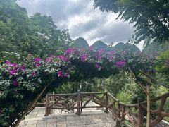 -高荡千年布依古寨旅游景区