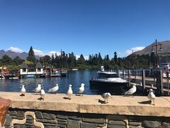 -Patagonia Chocolates(皇后镇店)