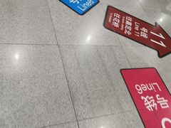 -东方体育中心(地铁站)