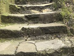 -大金鹰园