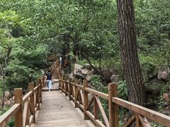 -大岭沟猕猴桃谷风景区