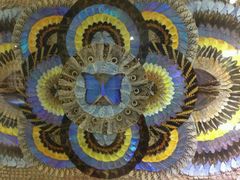 -上海昆虫博物馆