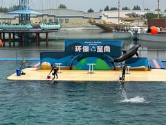 -秦皇岛乐岛海洋王国