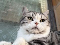-小时光咖啡馆(开森度假森林店)